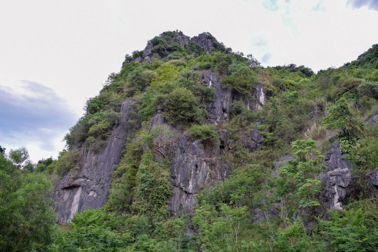 Phong Nha Orient Hotel Dış mekan fotoğraf